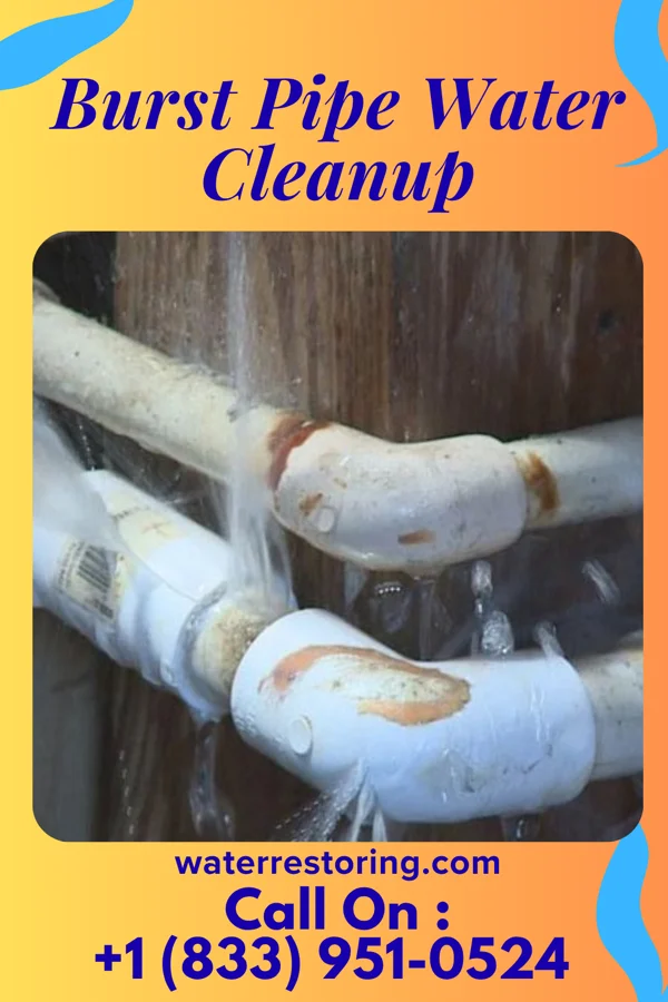 Burst Pipe Water Cleanup in New Hope, AL