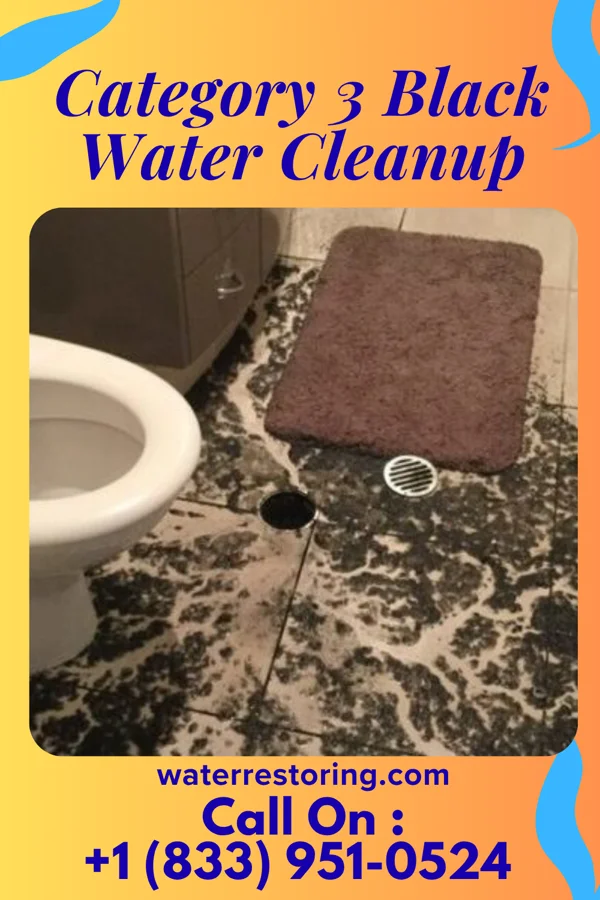 Category 3 Black Water Cleanup in New Hope, AL